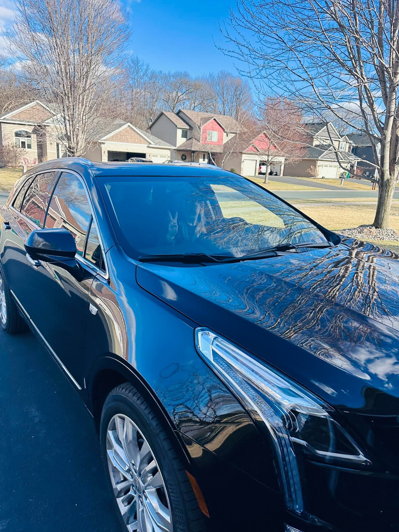 35 percent window tint